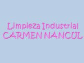 Limpieza Industrial Carmen Nancul
