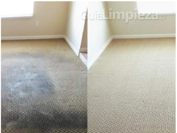 Limpieza de alfombras al mejor precio 