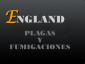 England Plagas y Fumigaciones