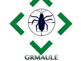 Grmaule limitada