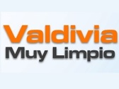 Valdivia Muy Limpio