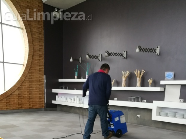 LIMPIEZA DE ALFOMBRAS MURO A MURO