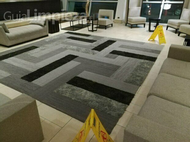 LIMPIEZA DE ALFOMBRAS MURO A MURO