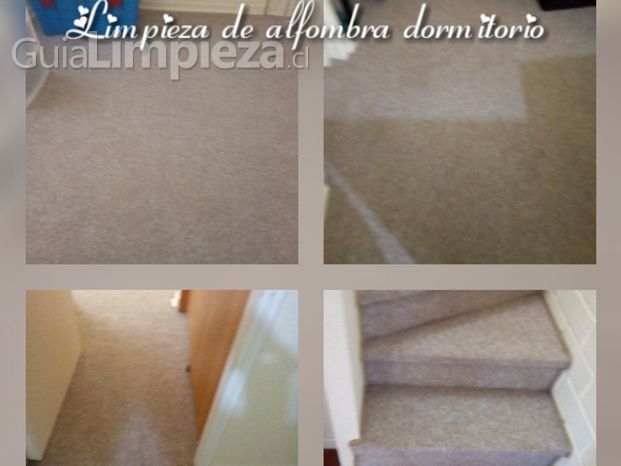 Limpieza de  alfombra dormitorio