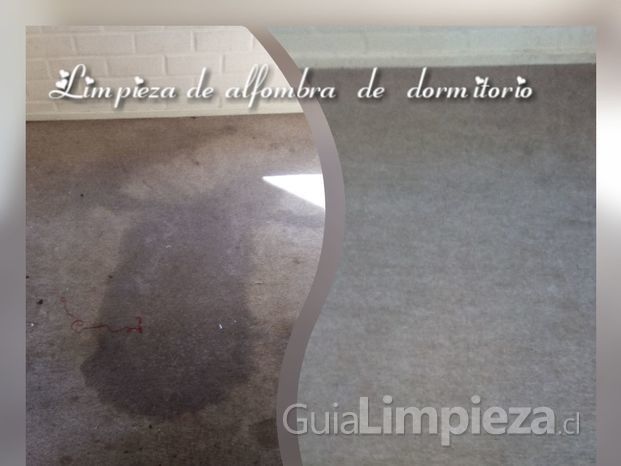 Limpieza de Alfombra