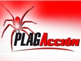 Plagacción