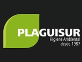 Plaguisur