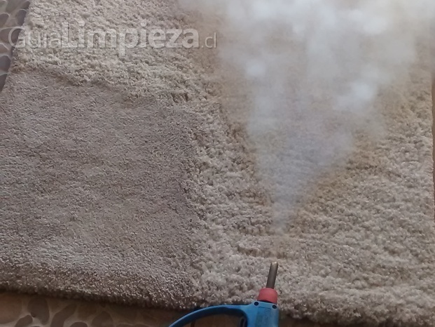 Limpieza de alfombras y tapiz de vehículos con máquina a vapor que además sanitiza