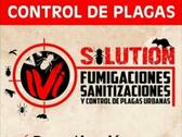 ivisolution control de plagas y Fumigación