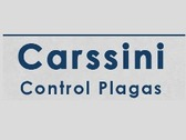 Carssini Control de Plagas