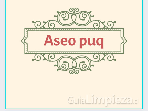 Aseo puq