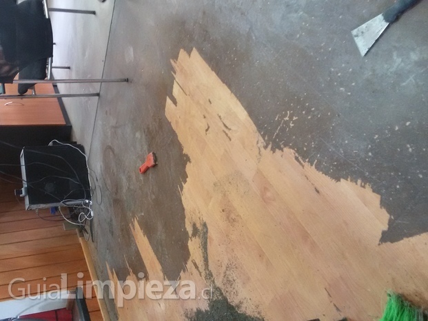 Limpieza  piso flotante 