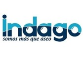 Indago