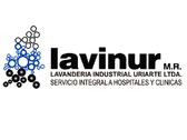 Lavinur