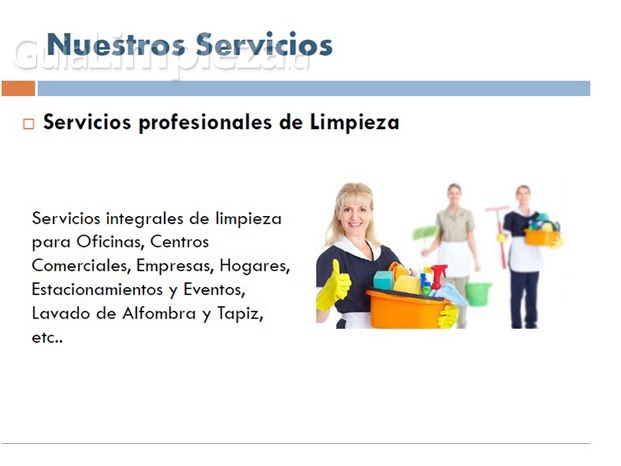 Servicios profesionales de limpieza