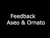 Feedback Aseo & Ornato