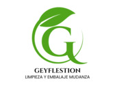 Geyflestion