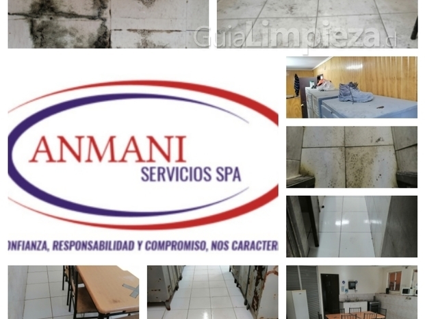 ANMANI SERVICIOS SPA 