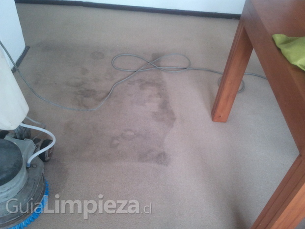 Lavado de alfombras en departamento