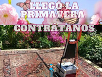 LIMPIEZA PROFUNDA