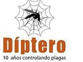 Diptero