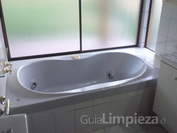 Limpieza de baños con vapor