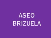 Aseo Brizuela