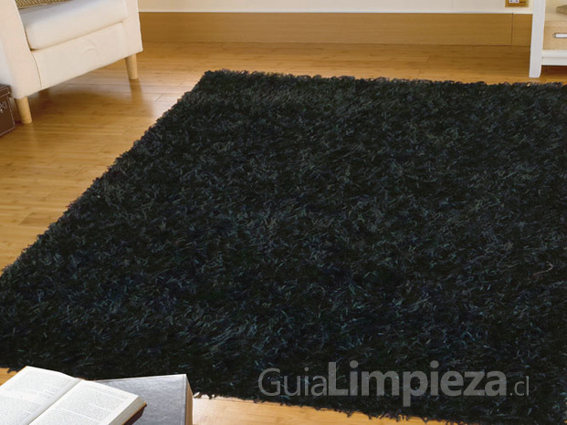 Limpieza de alfombra