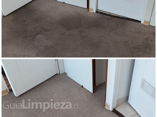 Limpieza de Alfombras 